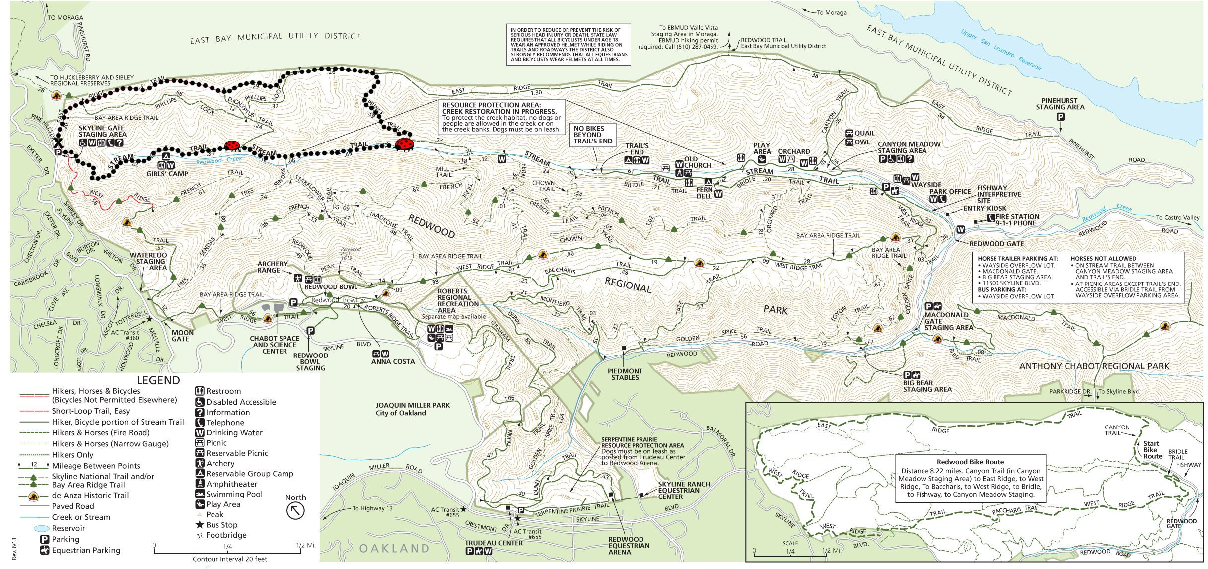 Ladybug Loop Hike in Oakland's Redwood Regional Park