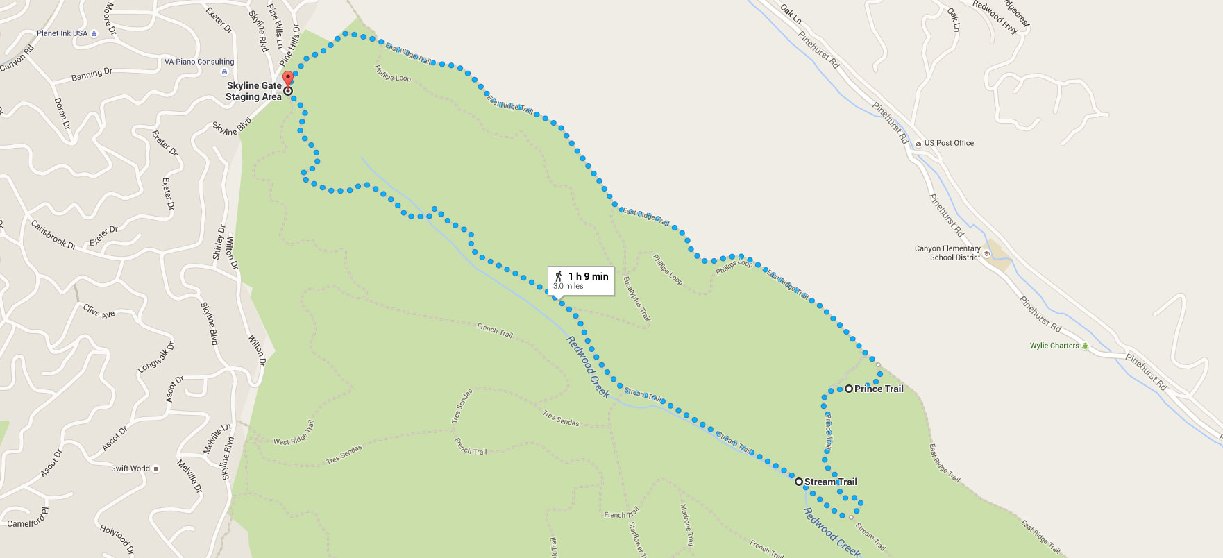 Ladybug Hike in Oakland's Redwood Regional Park