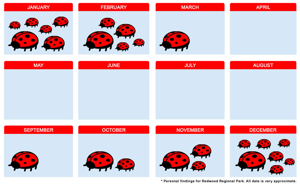 ladybug calendar