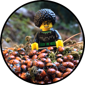 Ladybug Hotel Caretaker