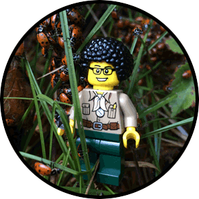 Ladybug Hotel Caretaker