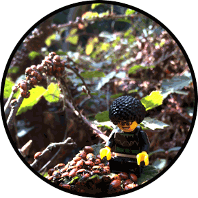 Ladybug Hotel Caretaker